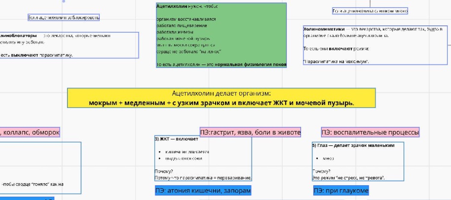 Мнемосхема: действие ацетилхолина